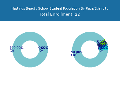 Hastings Beauty School 2025 Student Population by Gender and Race chart