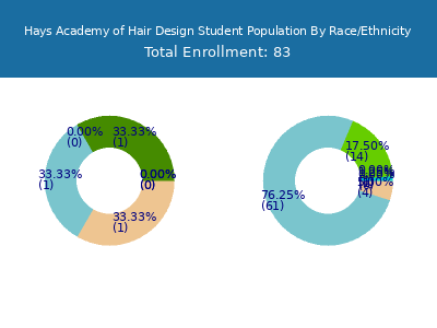 Hays Academy of Hair Design 2025 Student Population by Gender and Race chart