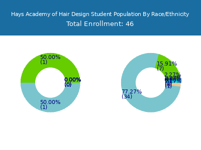 Hays Academy of Hair Design 2025 Student Population by Gender and Race chart