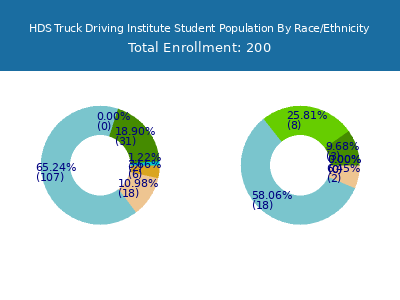 HDS Truck Driving Institute 2025 Student Population by Gender and Race chart