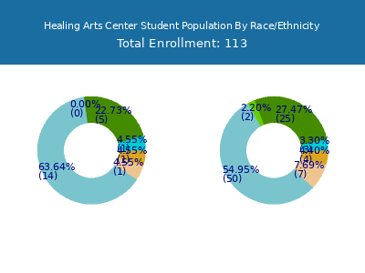 Healing Arts Center 2025 Student Population by Gender and Race chart