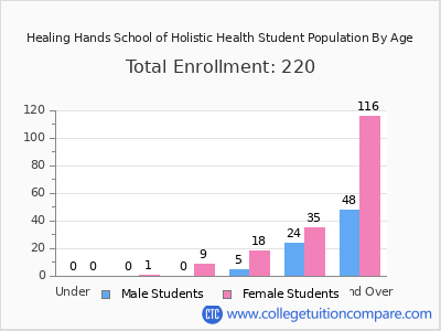 Healing Hands School of Holistic Health 2024 Student Population by Age chart