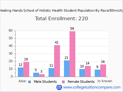 Healing Hands School of Holistic Health 2025 Student Population by Gender and Race chart