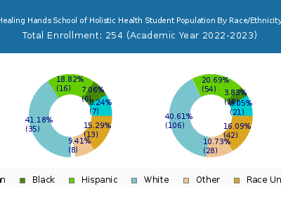 Healing Hands School of Holistic Health 2023 Student Population by Gender and Race chart