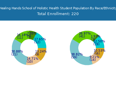 Healing Hands School of Holistic Health 2025 Student Population by Gender and Race chart