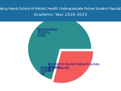 Healing Hands School of Holistic Health 2025 Online Student Population chart