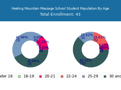 Healing Mountain Massage School 2024 Student Population Age Diversity Pie chart