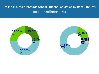 Healing Mountain Massage School 2025 Student Population by Gender and Race chart