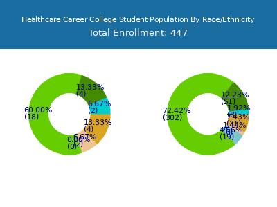 Healthcare Career College 2025 Student Population by Gender and Race chart