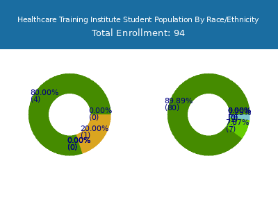 Healthcare Training Institute 2025 Student Population by Gender and Race chart