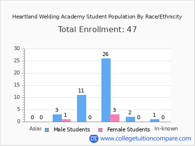 Heartland Welding Academy 2025 Student Population by Gender and Race chart