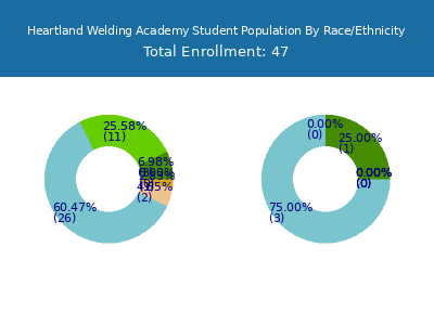 Heartland Welding Academy 2025 Student Population by Gender and Race chart