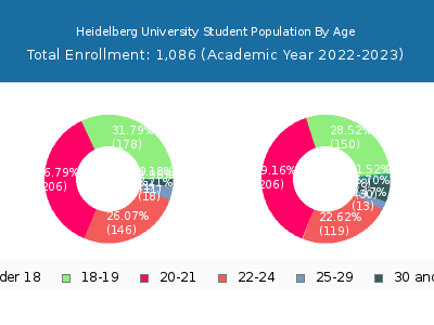 Heidelberg University 2023 Student Population Age Diversity Pie chart