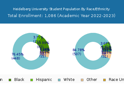 Heidelberg University 2023 Student Population by Gender and Race chart