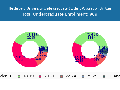 Heidelberg University 2025 Undergraduate Enrollment Age Diversity Pie chart