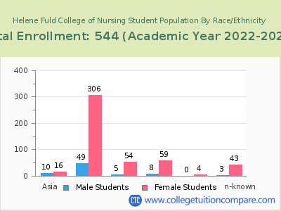 Helene Fuld College of Nursing 2023 Student Population by Gender and Race chart