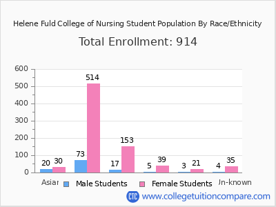 Helene Fuld College of Nursing 2025 Student Population by Gender and Race chart