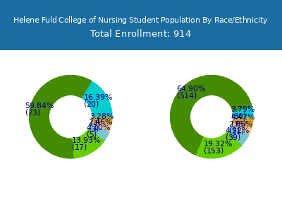 Helene Fuld College of Nursing 2025 Student Population by Gender and Race chart