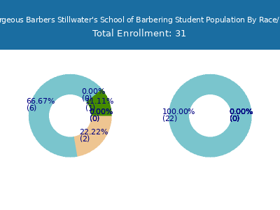 Hello Gorgeous Barbers Stillwater's School of Barbering 2025 Student Population by Gender and Race chart