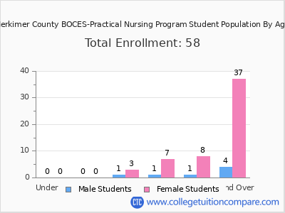 Herkimer County BOCES-Practical Nursing Program 2024 Student Population by Age chart