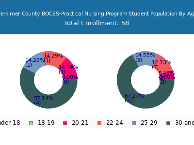 Herkimer County BOCES-Practical Nursing Program 2024 Student Population Age Diversity Pie chart