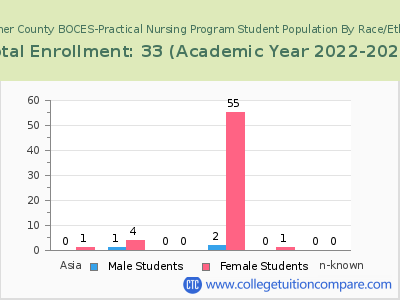 Herkimer County BOCES-Practical Nursing Program 2023 Student Population by Gender and Race chart