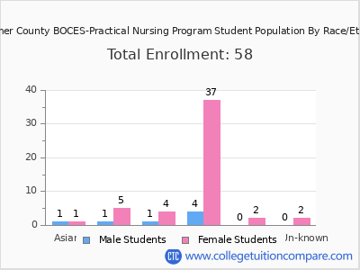 Herkimer County BOCES-Practical Nursing Program 2025 Student Population by Gender and Race chart