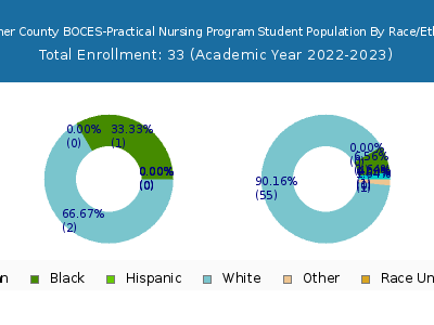 Herkimer County BOCES-Practical Nursing Program 2023 Student Population by Gender and Race chart
