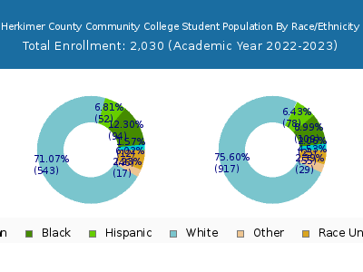 Herkimer County Community College 2023 Student Population by Gender and Race chart