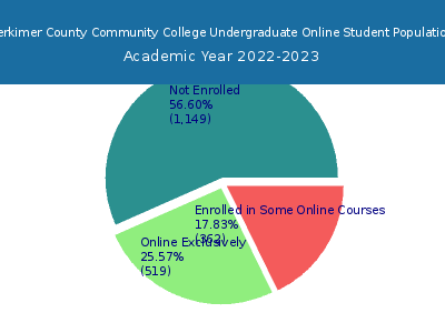 Herkimer County Community College 2023 Online Student Population chart