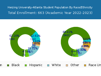 Herzing University-Atlanta 2023 Student Population by Gender and Race chart