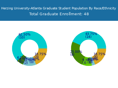 Herzing University-Atlanta 2025 Graduate Enrollment by Gender and Race chart