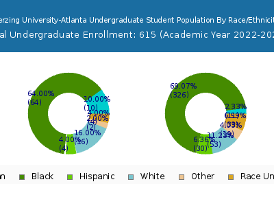 Herzing University-Atlanta 2023 Undergraduate Enrollment by Gender and Race chart