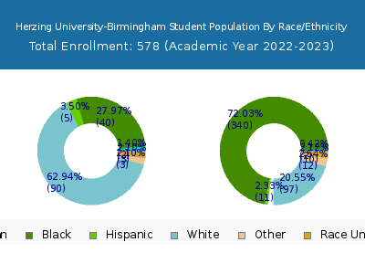 Herzing University-Birmingham 2023 Student Population by Gender and Race chart