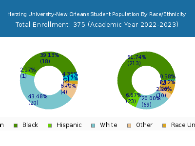 Herzing University-New Orleans 2023 Student Population by Gender and Race chart
