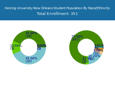 Herzing University-New Orleans 2025 Student Population by Gender and Race chart