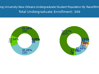 Herzing University-New Orleans 2025 Undergraduate Enrollment by Gender and Race chart