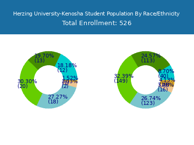 Herzing University-Kenosha 2025 Student Population by Gender and Race chart
