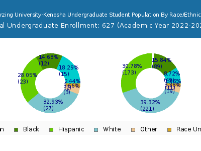 Herzing University-Kenosha 2023 Undergraduate Enrollment by Gender and Race chart