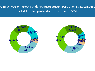 Herzing University-Kenosha 2025 Undergraduate Enrollment by Gender and Race chart