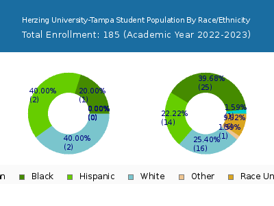 Herzing University-Tampa 2023 Student Population by Gender and Race chart