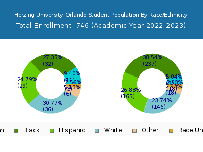 Herzing University-Orlando 2023 Student Population by Gender and Race chart