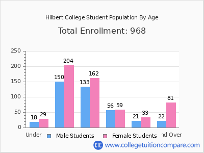 Hilbert College 2025 Student Population by Age chart