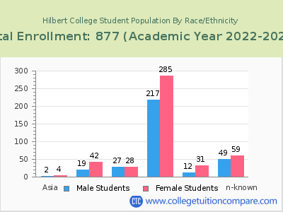 Hilbert College 2023 Student Population by Gender and Race chart