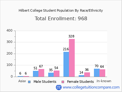 Hilbert College 2025 Student Population by Gender and Race chart