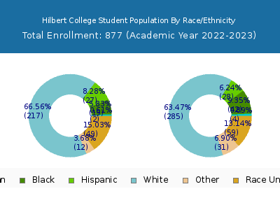 Hilbert College 2023 Student Population by Gender and Race chart