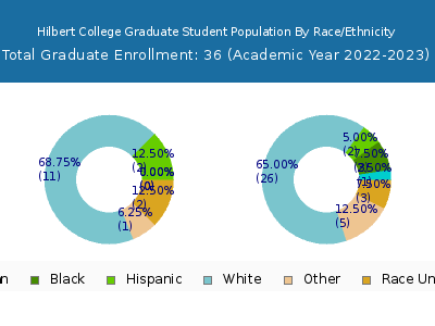 Hilbert College 2023 Graduate Enrollment by Gender and Race chart