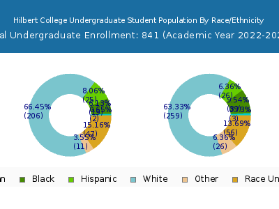 Hilbert College 2023 Undergraduate Enrollment by Gender and Race chart