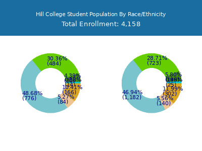 Hill College 2025 Student Population by Gender and Race chart