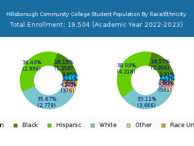 Hillsborough Community College 2023 Student Population by Gender and Race chart